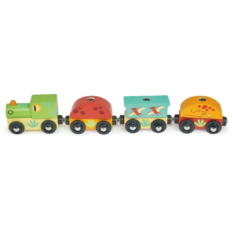 Solid Wood Stacking Cups with Different Sizes for Sensory Play and Motor SkillsThe Dinosaur Train